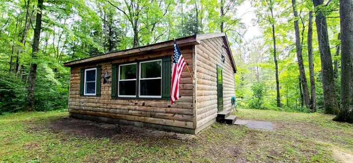 pet friendly cabin rentals in michigan