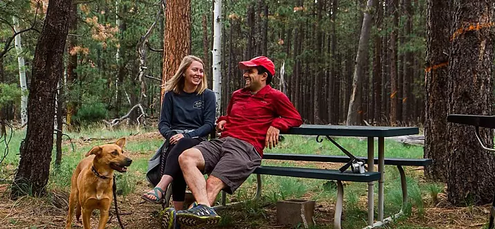 Top 8 Yurts Near Grand Canyon, Arizona