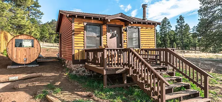 12 Best Pet-Friendly Cabin Rentals In Arizona, USA