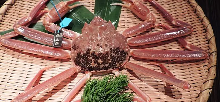 Fantastic Hashidate Snow Crab and a Warm Onsen at Kaga Onsen Town in Winter