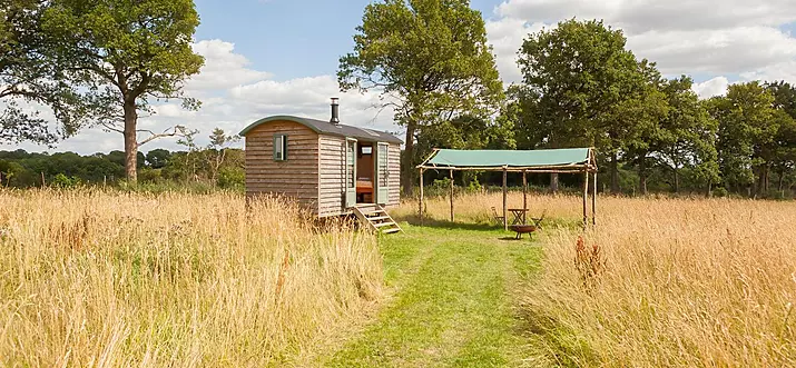 10 Best Glamping Spots Near Chessington, England