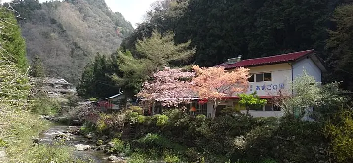 A Full Trout Dinner in Mountainous Ehime’s “Amago No Sato” Inn