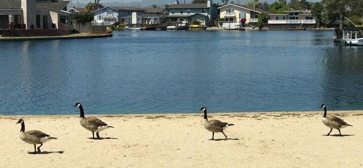 airbnb foster city