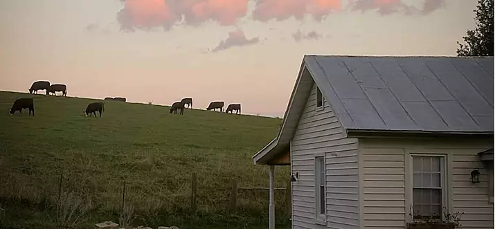 10 Best Airbnb Vacation Rentals In Shenandoah Valley, Virginia