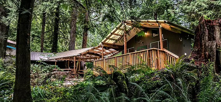 Top 17 Secluded Cabins In Washington State, USA