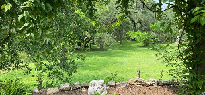 pet friendly cabins fredericksburg tx