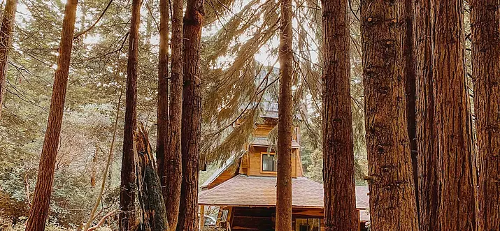 Top 10 Airbnb Tiny Houses In Northern California
