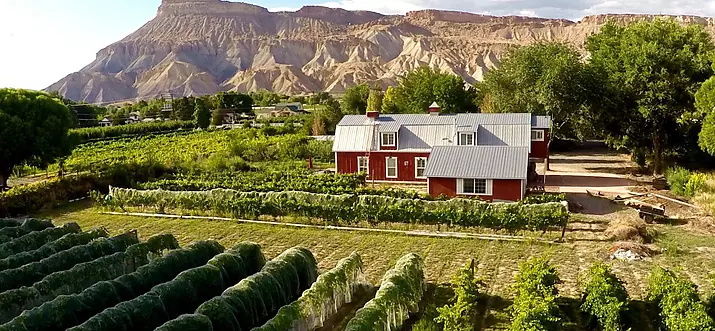 Top 10 Airbnb Monthly Rentals In Colorado, USA