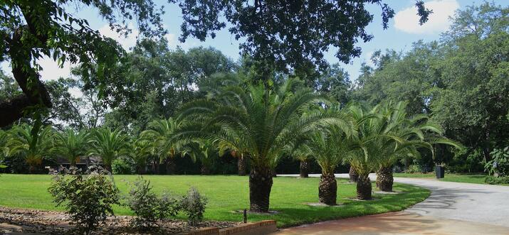 airbnb lake mary florida