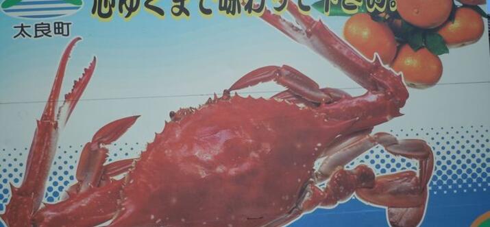 Top Quality Crab Dishes at Umezakitei in Tara, Saga Prefecture: Home of the Takezaki Crab