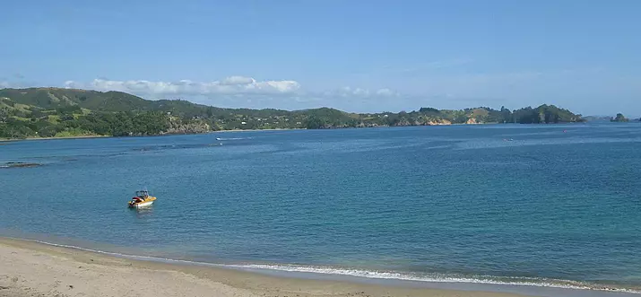 Top 10 Airbnb Vacation Rentals In Northland, New Zealand