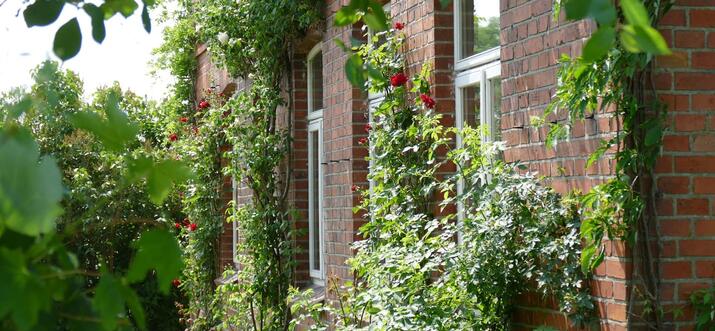 airbnb carlow