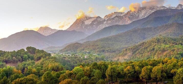 airbnb palampur