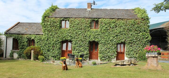 airbnb adare