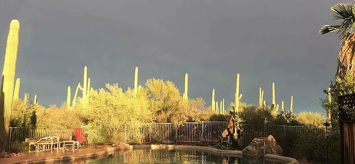 10 Best Airbnbs With Pool In Arizona, USA