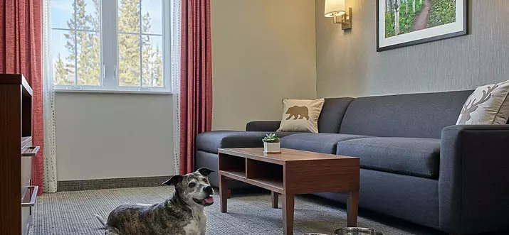 6 Best Hotels To Stay In Breckenridge, Colorado