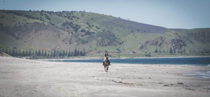 airbnb fleurieu peninsula