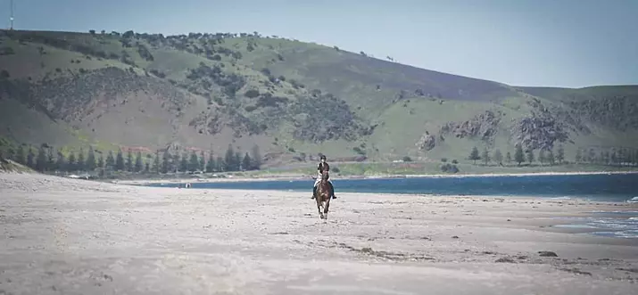 10 Best Airbnb Vacation Rentals In Fleurieu Peninsula, Australia