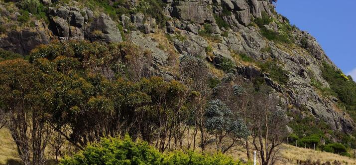 airbnb stanley tasmania