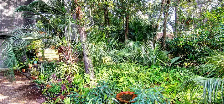 Top 9 Airbnb Vacation Rentals In Neptune Beach, Florida