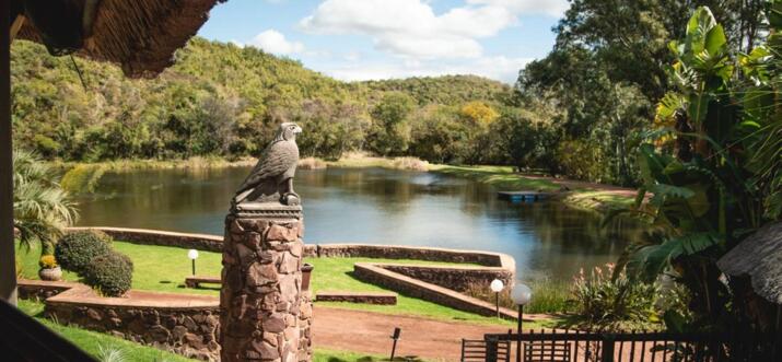 fishing lodges gauteng