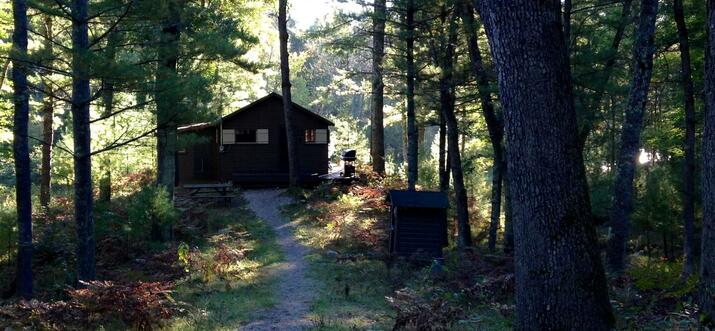 cabins in baldwin mi