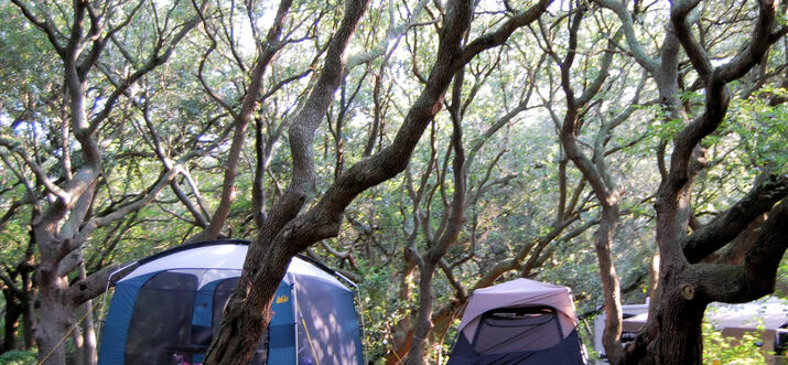 campgrounds in virginia beach