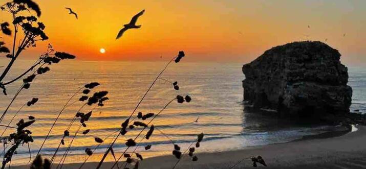 Top 10 Airbnb Vacation Rentals In South Shields, UK - Updated 2024