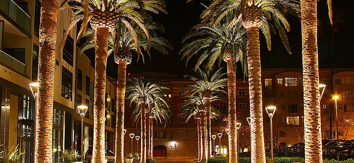 Top 9 Ways To Enjoy The Nightlife In Santa Clara, California