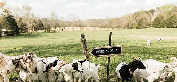 10 Best Farm Stays In United States