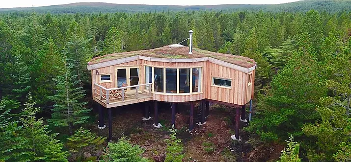 12 Best Treehouse Cabins In The United Kingdom