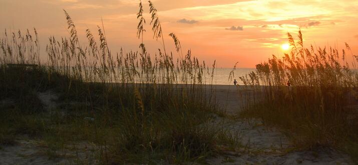 What to Do: Tybee Island, GA