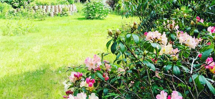 Top 10 Glamping Spots Near Cromer England Trip101