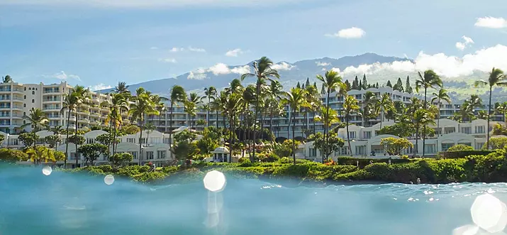 9 Handpicked Pet-Friendly Hotels In Maui, Hawaii