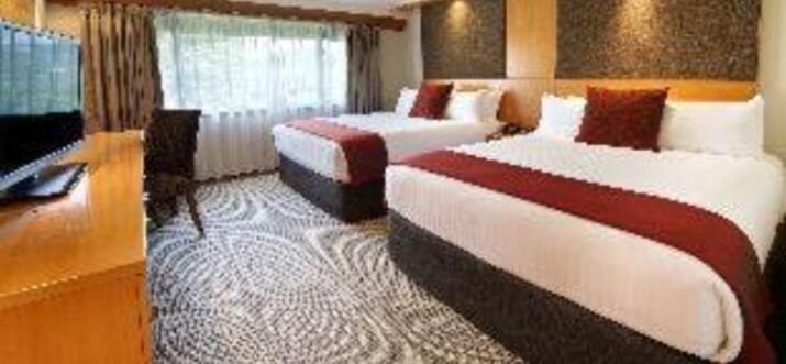 wellness retreats nz