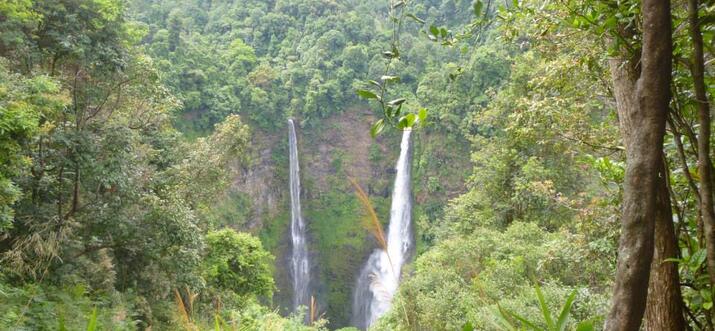 4 Brilliant Experiences On Laos’s Stunning Bolaven Plateau