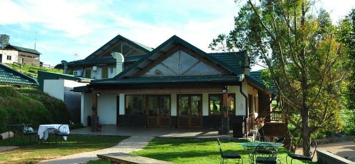 6 Best Pet-Friendly Hotels In Ooty, India