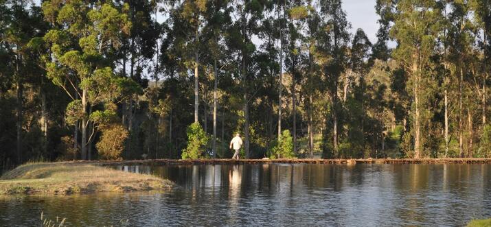airbnb manjimup