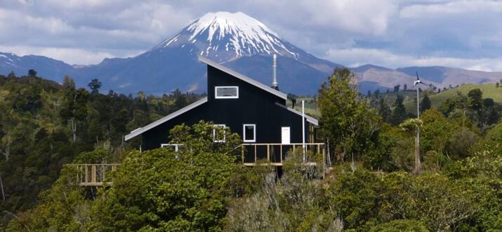 treehouse airbnb new zealand