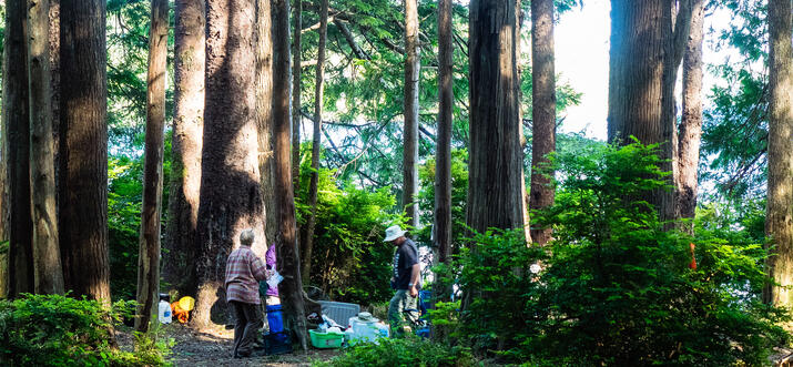 ozette triangle camping