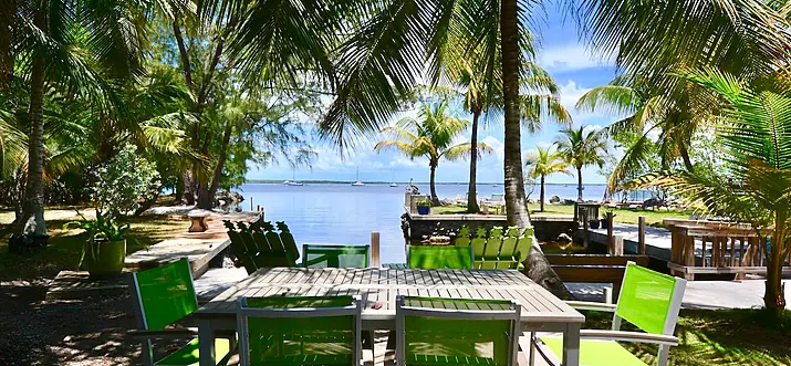 Top 10 Pet-Friendly Airbnbs In Key Largo, Florida