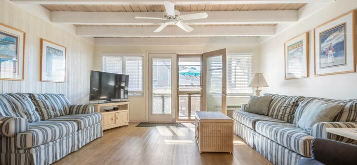 airbnb dewey beach pet friendly