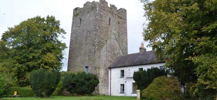 castle hotels kildare