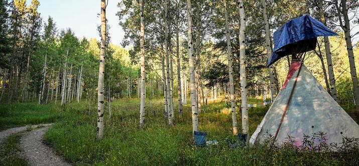 Top 2 Glamping Spots In Jackson, Wyoming