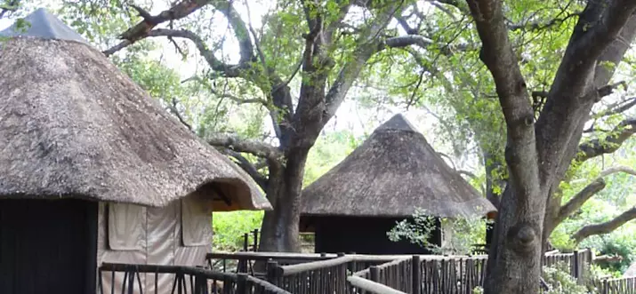 9 Best Glamping Spots In Kruger National Park, South Africa
