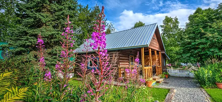 Top 12 Cabin Rentals In Talkeetna, Alaska