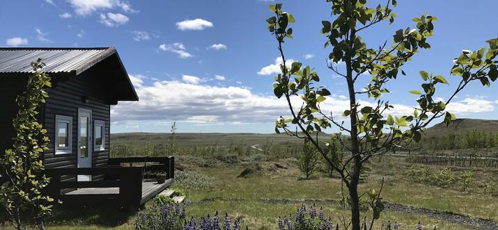 11 Handpicked Cabin Rentals In Iceland