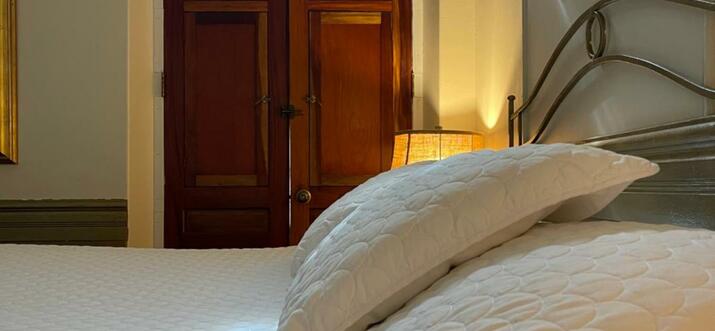 pet friendly hotels in puerto rico