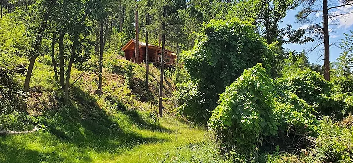 Top 11 Pet-Friendly Cabin Rentals In South Dakota, USA