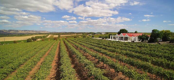 airbnb barossa valley